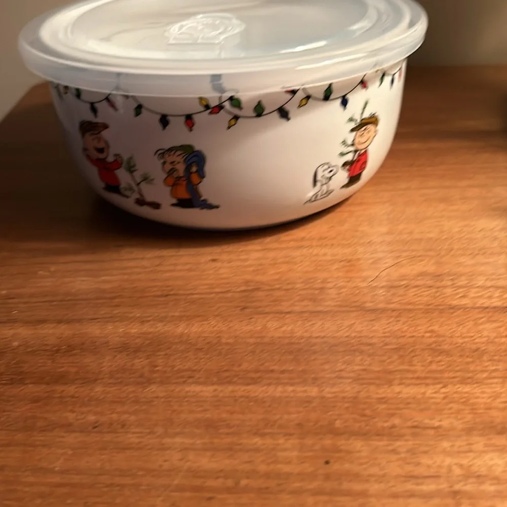 Snoopy storage container